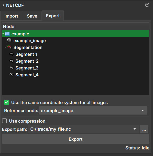NetCDF Export Tab