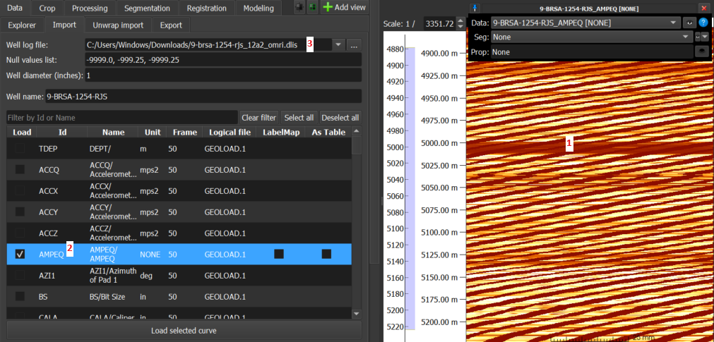 On the right, a view (1) with a *borehole image* loaded from the 'AMPEQ' curve, selected on the left (2). The data was imported from a DLIS file (3).