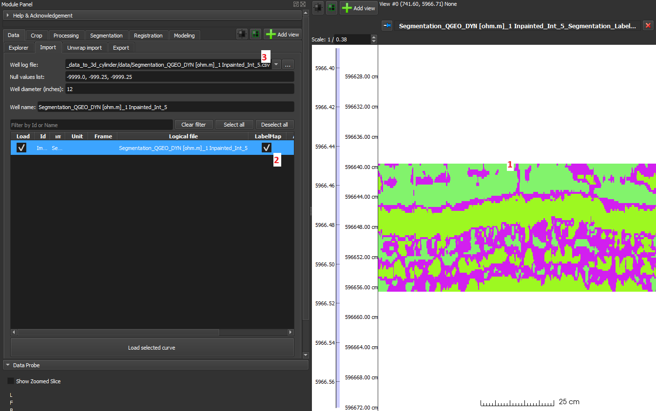 Segmented data (LabelMap) on the right (1), which was loaded by marking the column with 'LabelMap' (2). The data was loaded from a CSV file (3).