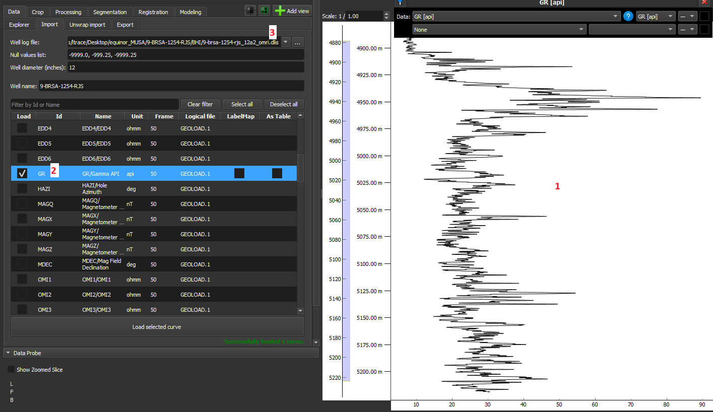 Open ImageLog Environment. On the right, a view (1) with data loaded from the 'GR/Gamma API' curve, selected on the left (2). The data was imported from a DLIS file (3).